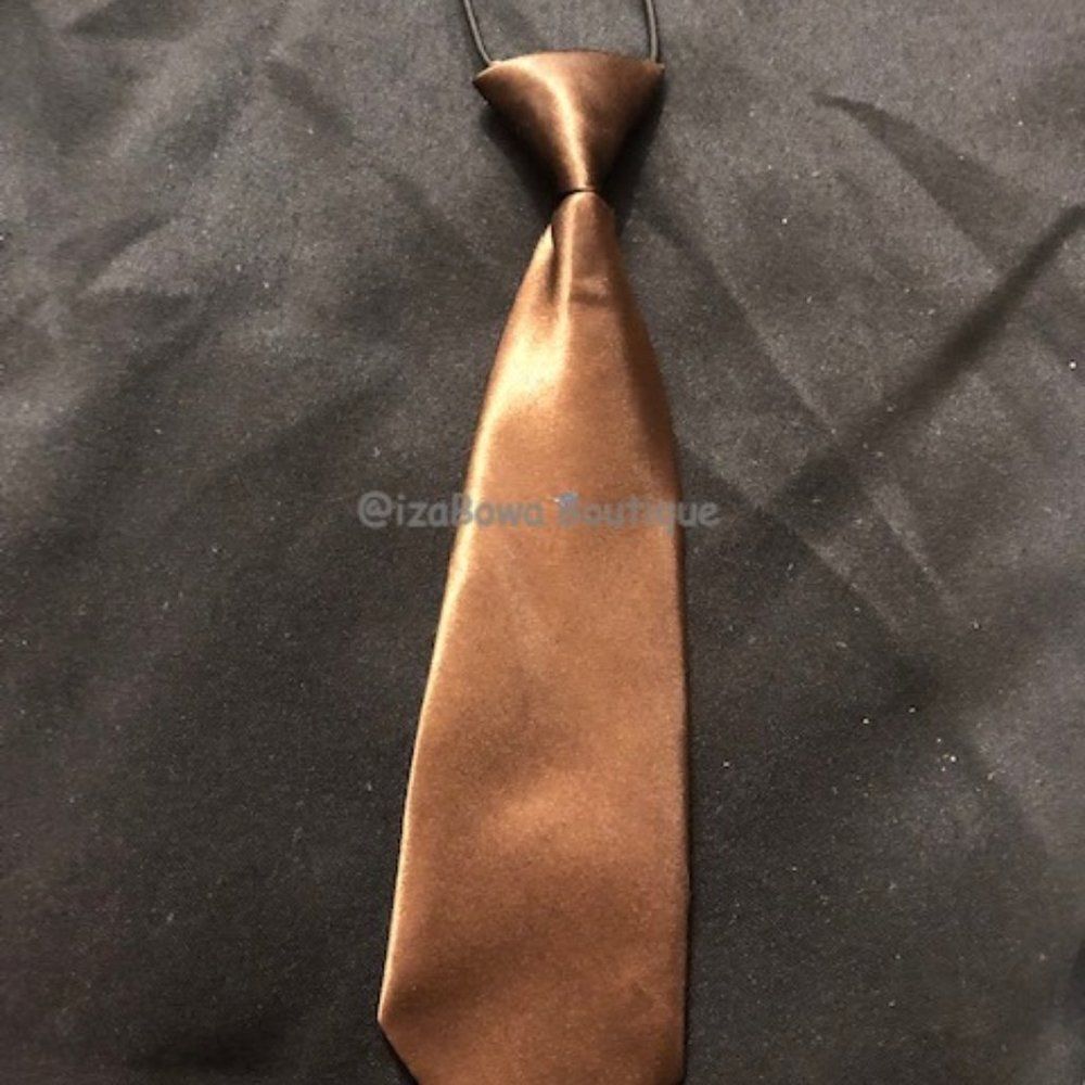 Brown Satin Tie  TY1215  NWT Boutique